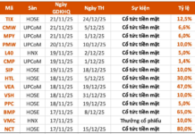 Upcoming Dividend Ex-Dates (Nov 17–21): Highest Cash Dividend at 80%, Industry Titan Set to Distribute Over VND 6 Trillion in Dividends