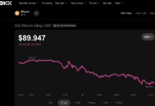 Bitcoin Investors’ Worst Fear Materializes on November 18th Midday