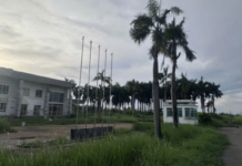 The Fate of the Billionaire Hứa Thị Phấn’s Mega Project