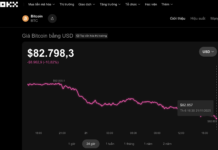 What’s Driving Bitcoin’s Dramatic Price Plunge?