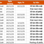 Upcoming Dividend Ex-Dates (Nov 24–28): Highest Cash Dividend at VND 8,500 per Share