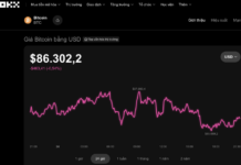Today’s Crypto Market, November 24: What Secrets is Bitcoin Holding Before the End-of-November Deadline?