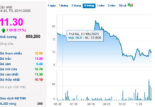 Chairman and CEO Nearly Liquidate Holdings, Stock Surges to Daily Limit