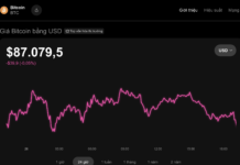 Today’s Crypto Market, November 26: Rare and Unexpected Developments Unfold