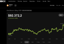 Today’s Crypto Market, November 28: A Tough Decision Awaits Bitcoin