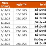 Dividend Ex-Rights Schedule Nov 3–7: Highest Cash Dividend at 25,000 VND/Share