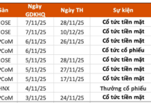 Dividend Ex-Rights Schedule Nov 3–7: Highest Cash Dividend at 25,000 VND/Share