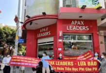 The Shark Thuy Scandal: 1,197 Victims, Over 719.6 Billion VND Stolen