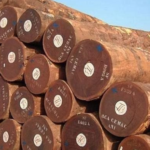 Cambodia’s Game-Changing Rescue Mission: 0% Import Tax Advantage Propels Vietnam to Challenge Thailand’s Global Crown Amidst Growing Scarcity