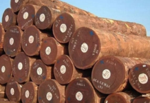 Cambodia’s Game-Changing Rescue Mission: 0% Import Tax Advantage Propels Vietnam to Challenge Thailand’s Global Crown Amidst Growing Scarcity