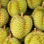 The Great Durian Debate: Two Powerhouses Battle for National Fruit Branding, One Boasting 2 Million Tons in Production, the Other Seeing Soaring Output Value
