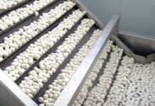 Vietnam’s Affordable Superfood Sweeps Asia and Europe: Surging Past $200 Million in Sales as Thailand and South Korea Race to Secure Supplies