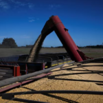 China Halts 24% Tariff, but U.S. Soybeans Still Lose Ground to a Global Agri-Giant Dominating Vietnam’s Market