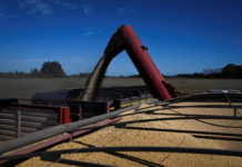 China Halts 24% Tariff, but U.S. Soybeans Still Lose Ground to a Global Agri-Giant Dominating Vietnam’s Market