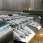 Vietnam’s Underwater ‘Treasure’ Outshines Catfish and Tuna: Exports Surge Over 300% as Competitors Face U.S. Tariffs Exceeding 50%