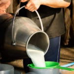 Police Raid Uncovers Counterfeit Milk Ring Operating in Early Hours, Seizes and Destroys 400 Liters of Chemically-Laced Product