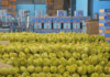 After Laos and Cambodia, Another Durian Competitor Prepares to Enter China’s Market: With 1/8th the Area of Vietnam, Exports Expected by 2026