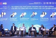 MB Economic Insights 2025: 11 Years of Empowering Import-Export Businesses