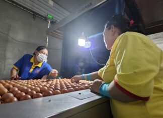 “Ba Huan Faces Forced Customs Suspension Over $2.2 Million Tax Debt: What Do Insiders Say?”