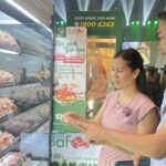 BaF Vietnam Revises Capital Allocation Plan for Bond Proceeds