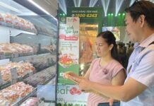 BaF Vietnam Revises Capital Allocation Plan for Bond Proceeds