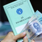 How Much is the Mandatory Social Insurance Contribution for Business Owners?