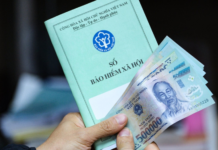 How Much is the Mandatory Social Insurance Contribution for Business Owners?