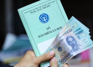 How Much is the Mandatory Social Insurance Contribution for Business Owners?