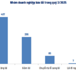 9-Month Business Overview: Profit Growth Outpaces Revenue Surge