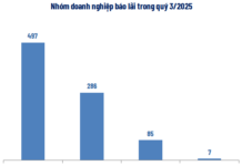 9-Month Business Overview: Profit Growth Outpaces Revenue Surge