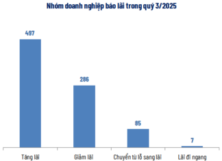 9-Month Business Overview: Profit Growth Outpaces Revenue Surge