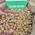 Today’s Coffee Prices (Nov 9): Who Reigns as the Coffee Export King?