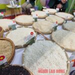 What Did the VFA Chairman Say About the Philippines’ Rice Import Halt Until 2025?