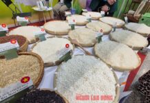 What Did the VFA Chairman Say About the Philippines’ Rice Import Halt Until 2025?