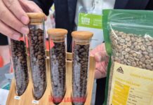 Today’s Coffee Prices (Nov 14): Prices Continue to Fall