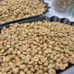 Today’s Coffee Prices (Nov 15): Plummeting in Response to U.S. Tax Adjustments