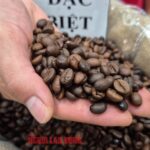 Today’s Coffee Prices (Nov 16): A Dismal Week for Coffee Prices