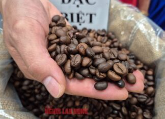 Today’s Coffee Prices (Nov 16): A Dismal Week for Coffee Prices