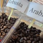 Today’s Coffee Prices (19/11): Surging to New Heights
