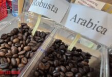 Today’s Coffee Prices (19/11): Surging to New Heights