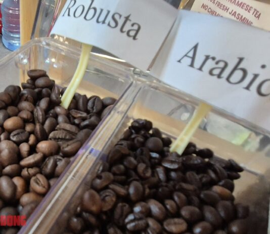 Today’s Coffee Prices (19/11): Surging to New Heights
