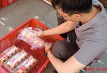 Billions in Social Insurance Arrears: Ba Huan, Color Man Food, and Numerous Companies in the Spotlight