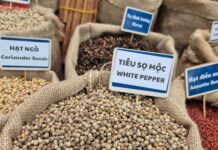 Unlocking Billion-Dollar Industries: 5 Key Sectors Urge Congress to Remove Barriers