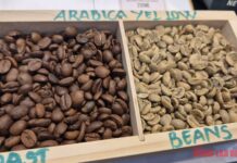 Today’s Coffee Prices (Nov 25): Robusta Plunges, Arabica Surges