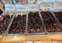 Today’s Coffee Prices (Nov 26): A Three-Digit Surge Marks a Strong Comeback