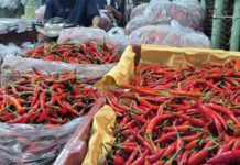 Relief for Thu Duc Wholesale Market Vendors on November 25th