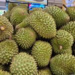 Durian Prices Skyrocket, Yet Farmers Remain Uncheered
