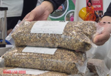 Today’s Coffee Prices (Nov 3): Premium Coffee Beans at 650,000 VND/kg