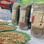 Today’s Coffee Prices (Nov 28): Rebounding Upward as Malaysia Craves Vietnamese Coffee