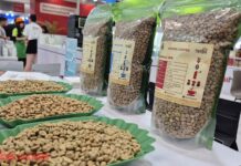 Today’s Coffee Prices (Nov 28): Rebounding Upward as Malaysia Craves Vietnamese Coffee